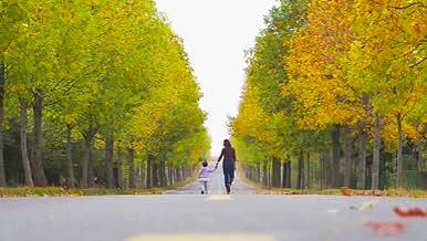4K实拍秋天母女俩亲子手牵手公路旅行视频的预览图